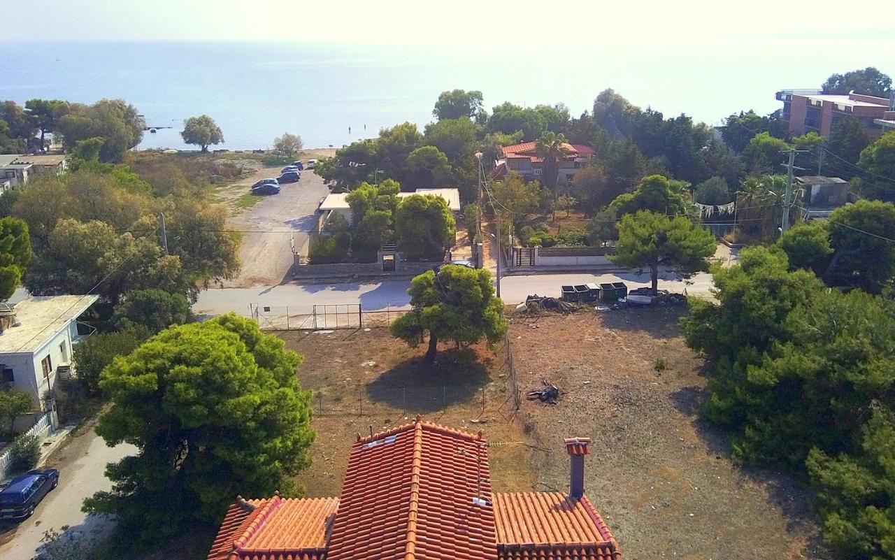 Augoustinos - Sea Side Luxury Apartments Artemida  Eksteriør billede